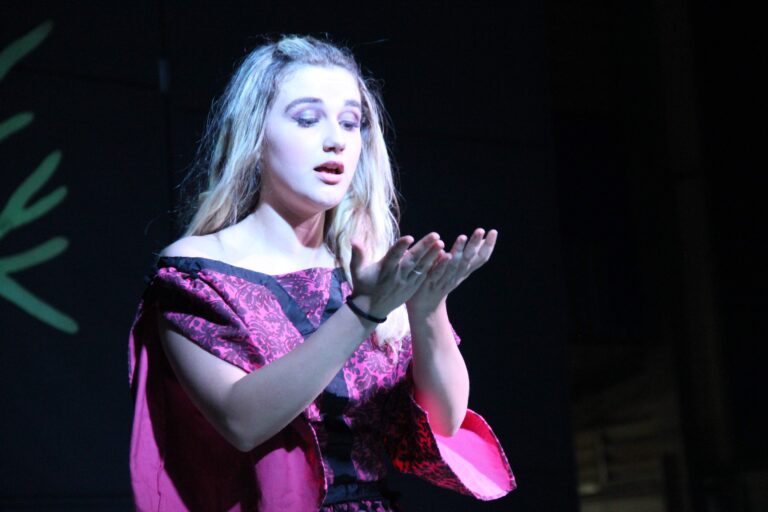 1º Festival de Teatro MD